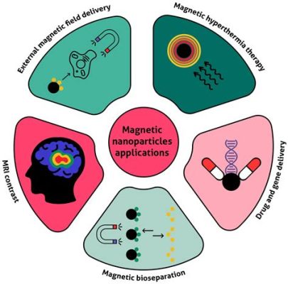  Magnetite磁性微粒的用途：在生物醫學和環境修復領域的潛力無限！