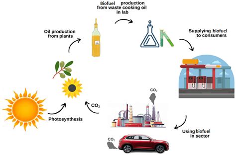 萝卜糖 用於生物燃料和化學品生產！